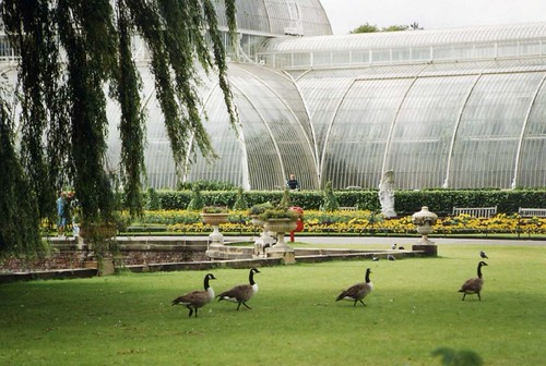 A Queue At Kew Kew Gardens is located in London. It used t… Flickr