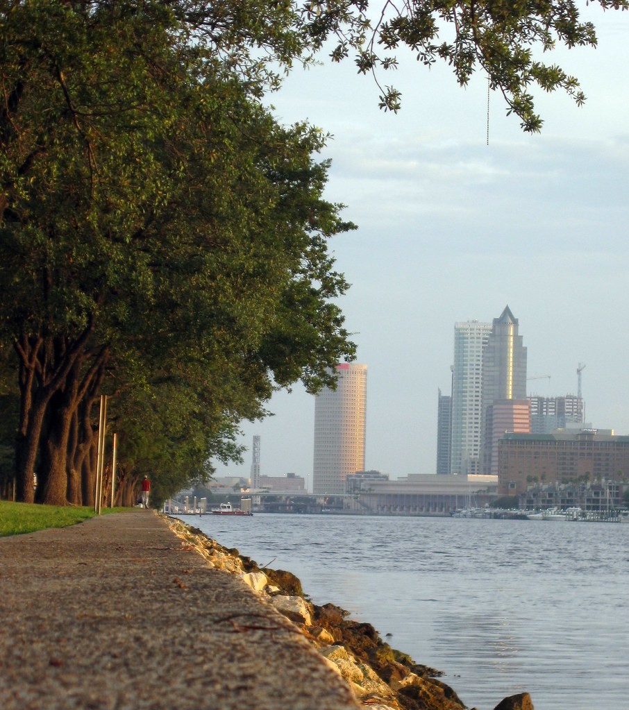 Davis Island some of the shore paired with a little Tampa … Flickr