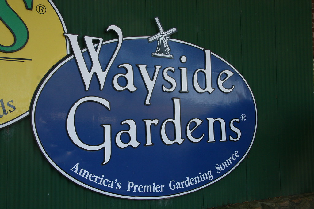 Wayside Gardens® Flickr