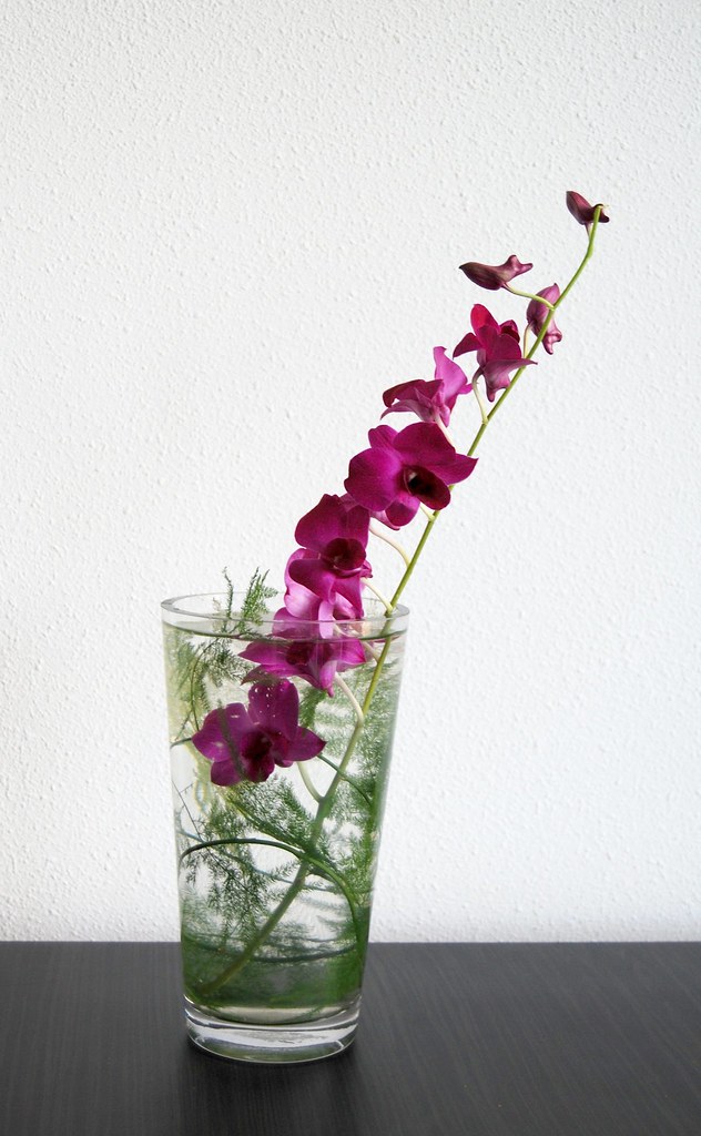 Ikebana 'Orchid contained' Otomodachi Flickr