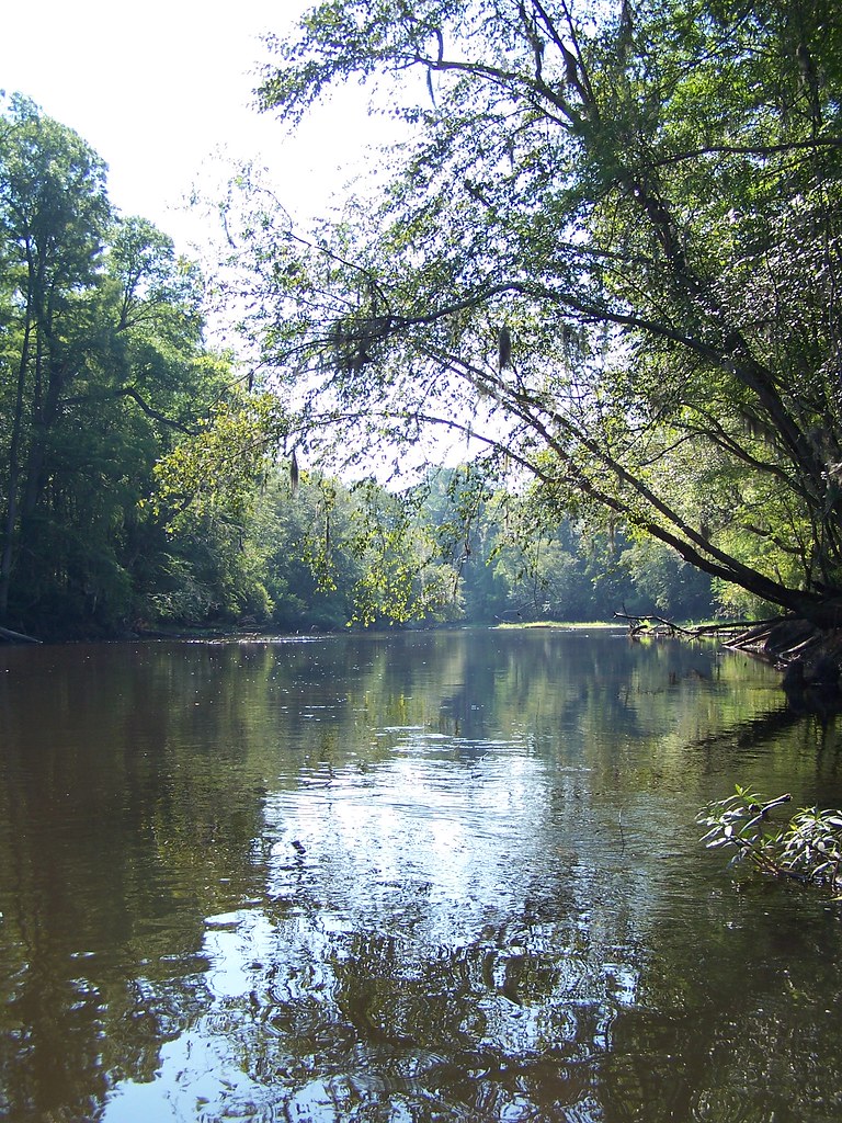 Edisto River Quiet Morning As our rope swinging ends and … Flickr