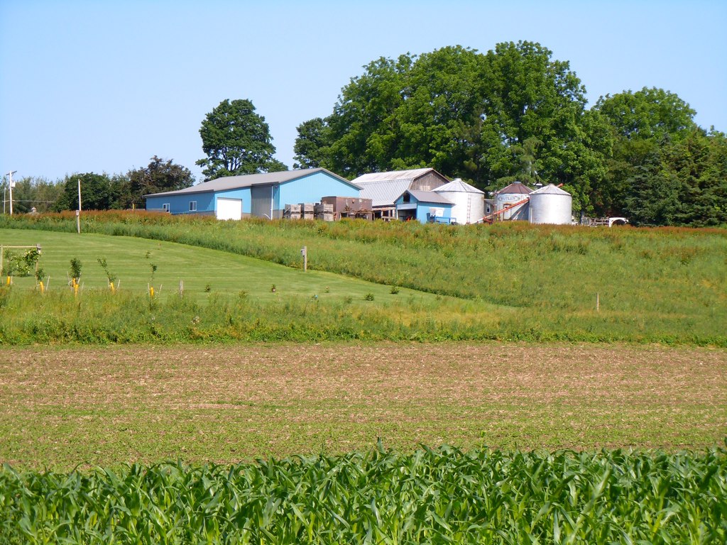 Norton Road5 farm on Bussey Road from Norton Road ironmike9 Flickr