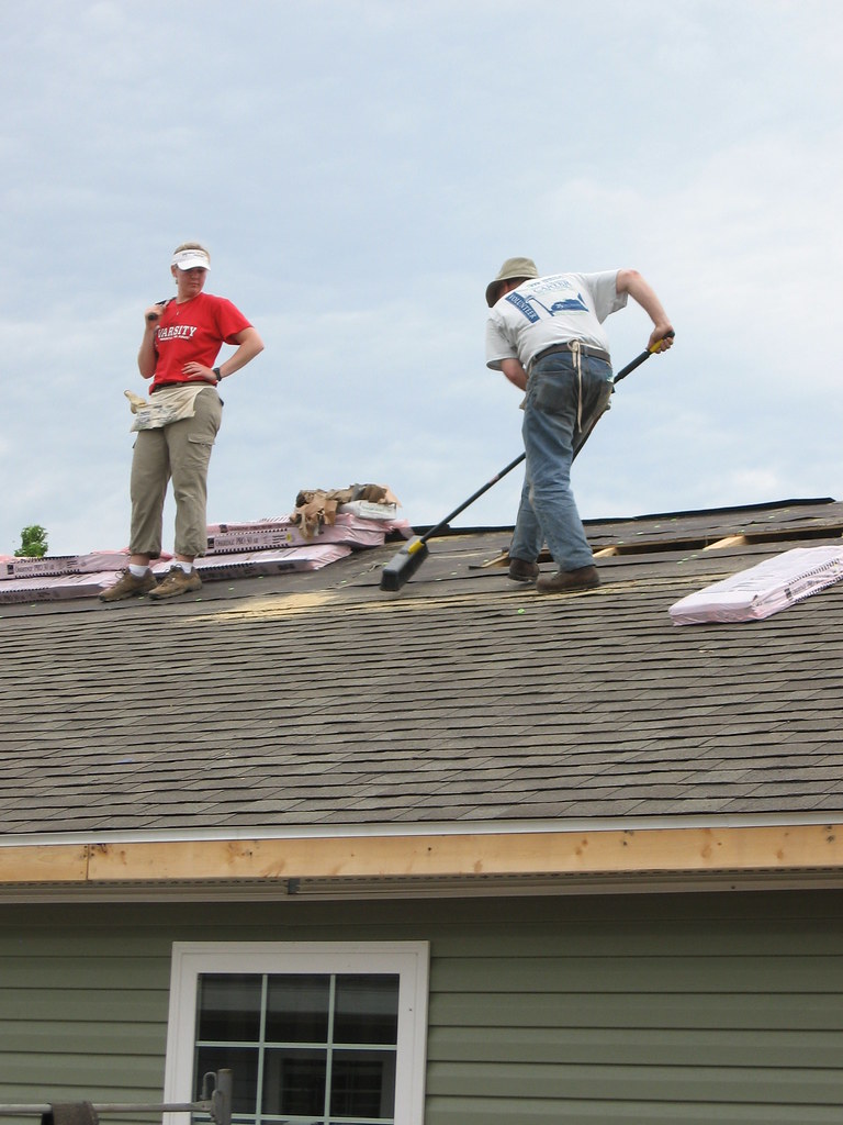 Habitat Day 25157 Clean roof is a less slippery roof Knight