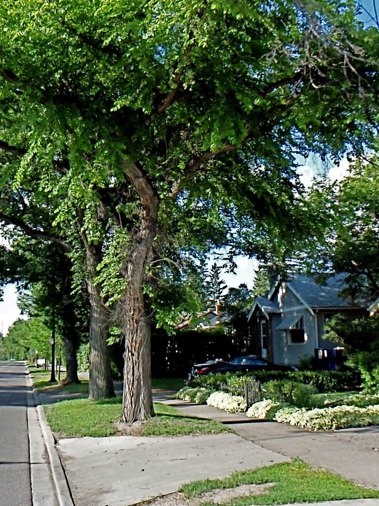 1900 KM on Elbow Drive Dave King Flickr