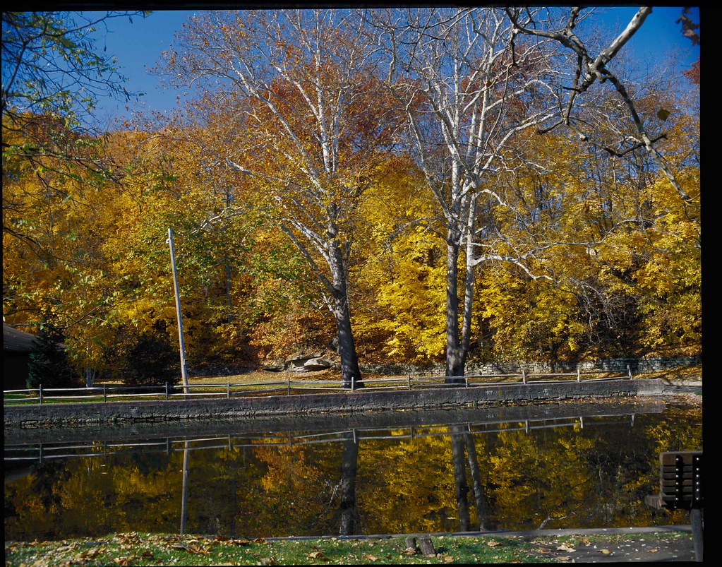 park2 Yellow Creek Park, Struthers, OhioPentax67, Kodak E1… Flickr