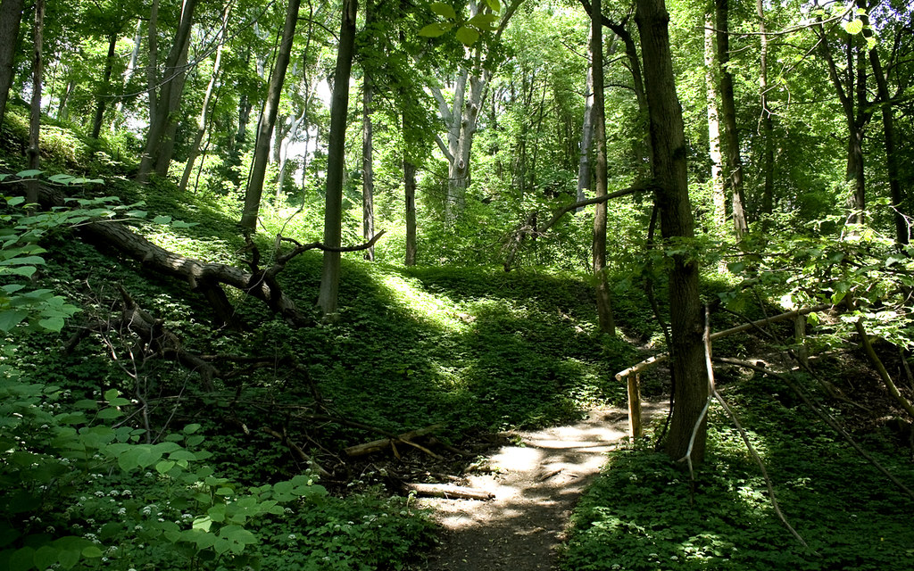 Balfour Park One of the many pathways in Balfour Park, loc… Flickr