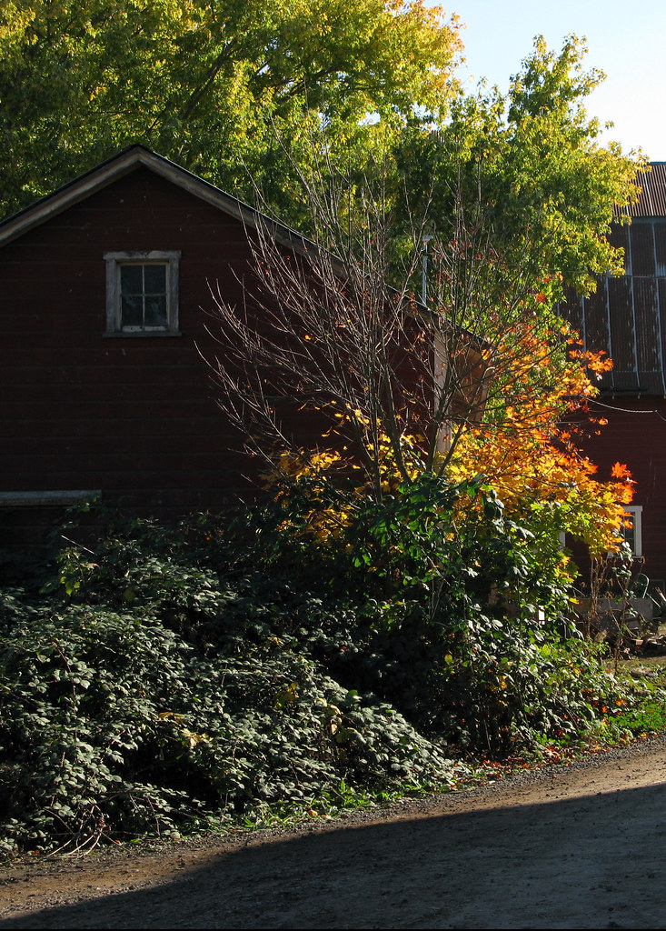 Thistledown Farm October 24 2008 no9 Tim Flickr