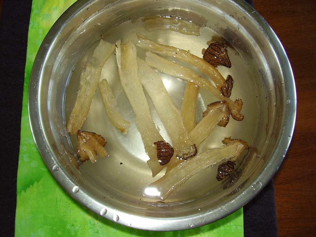 Morels Soaking The mushrooms are soaked in salt water to e… Flickr