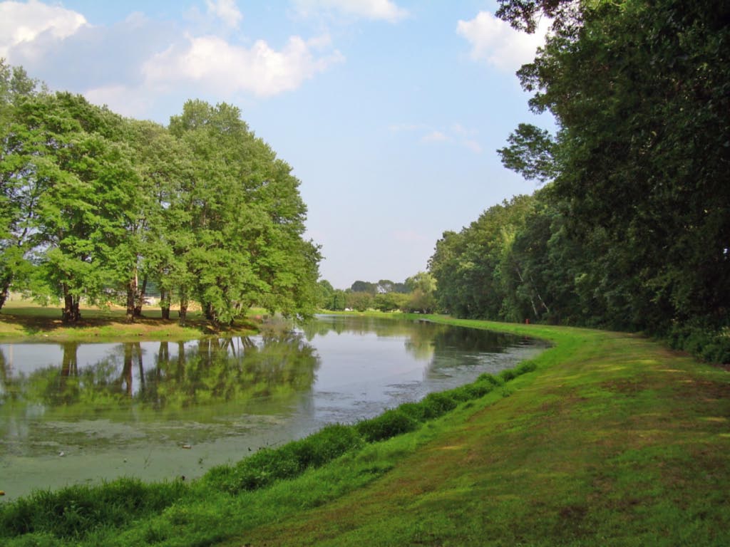 Bucks Mill Park Colts Neck, NJ Morton Fox Flickr