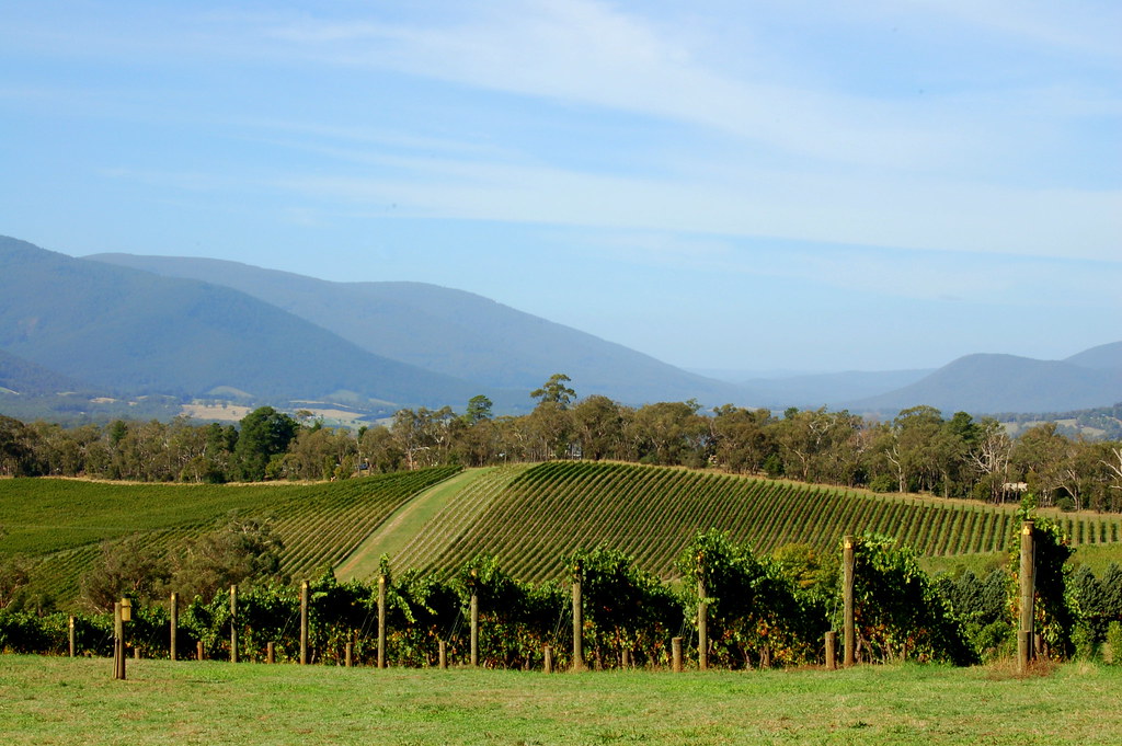 Yarra Valley I always find this such a surprise out here..… Flickr