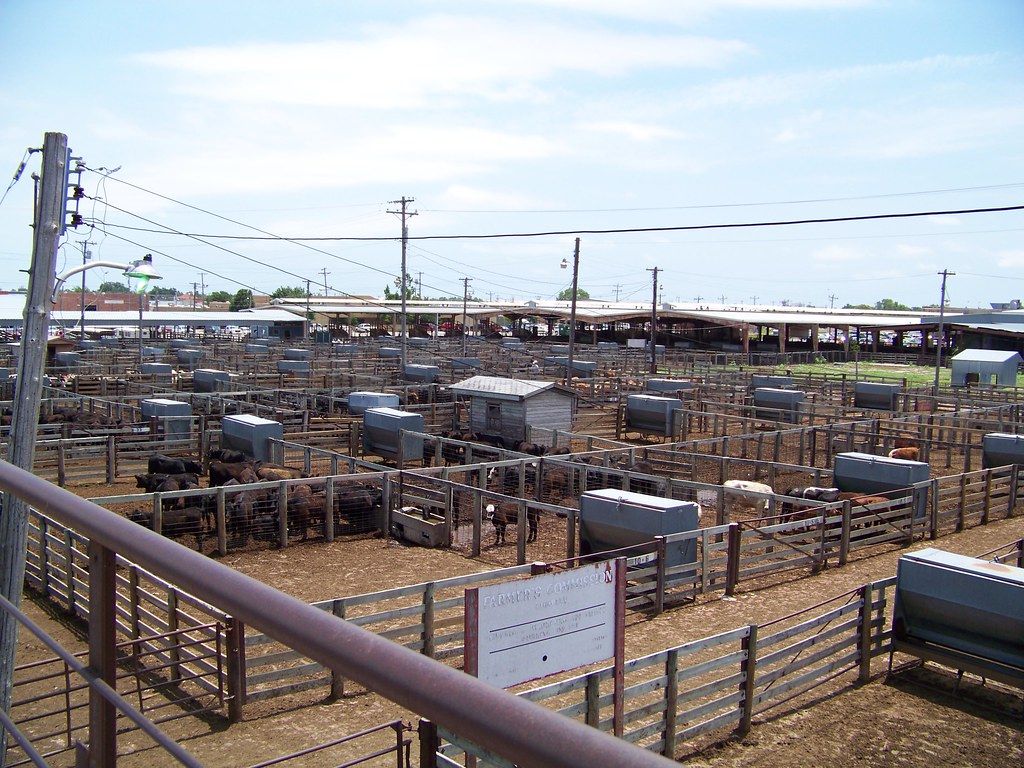 Stockyards City, OKC, OKOklahoma National Stockyards Flickr