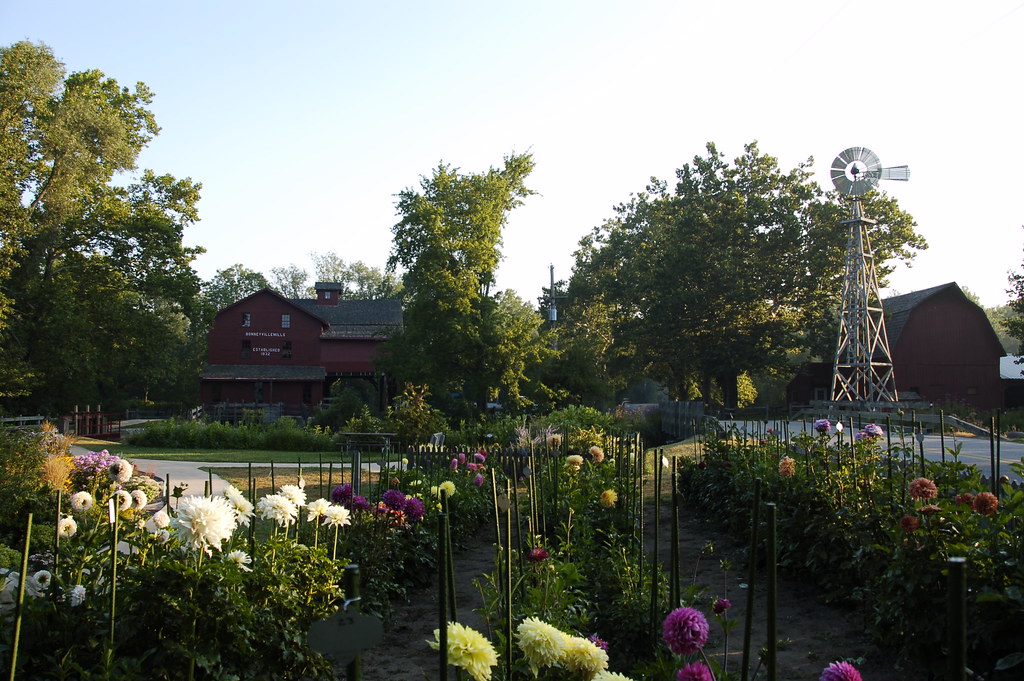 from the flower garden at bonnyville mills markbajekphoto1 Flickr