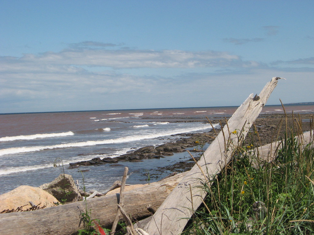 IMG_4810 Janeville NB. August 2008. Derek Blackadder Flickr