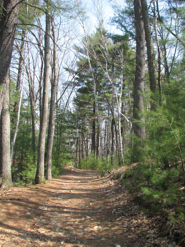 Walden Pond Concord MA Walden Pond near Concord MA. Trail … Flickr