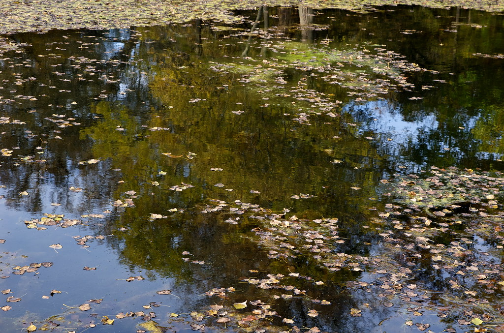 Silver Lake State Park, reflected Shot in Silver Lake Stat… Flickr