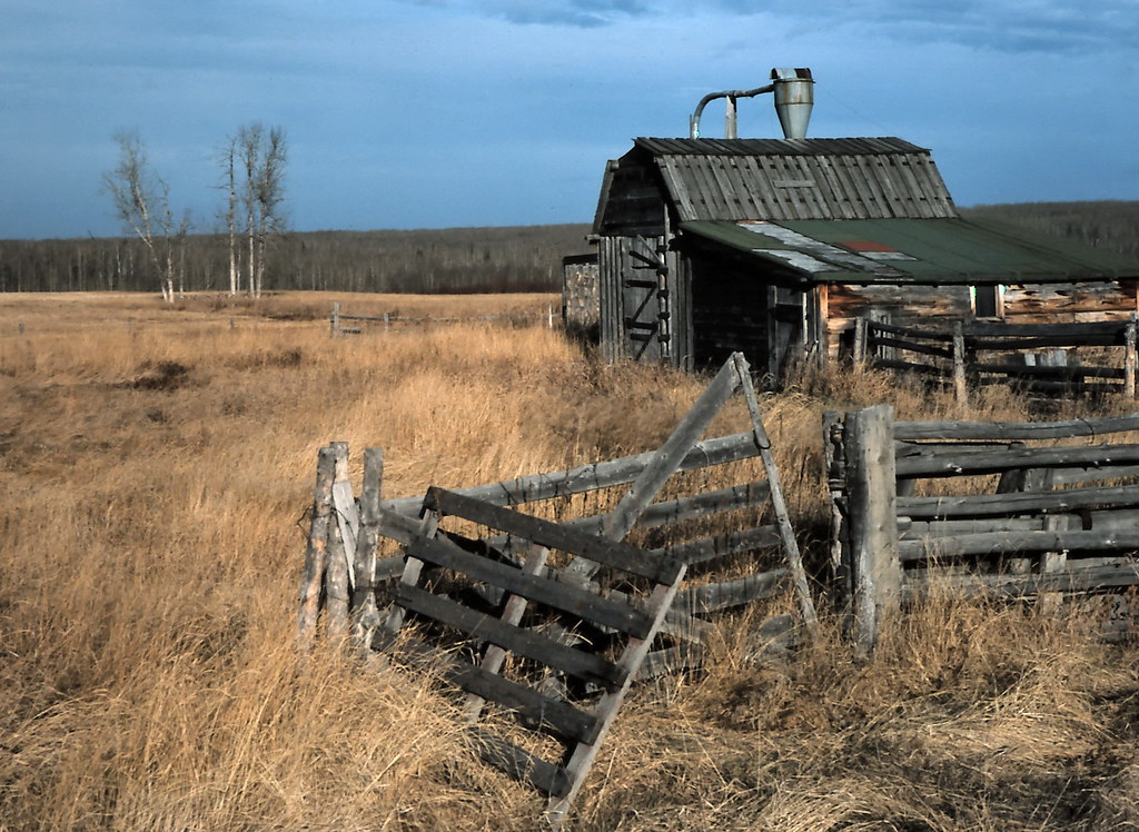 gm_13001 Shining Bank Farm, Alberta 1975 Old farm building… Flickr