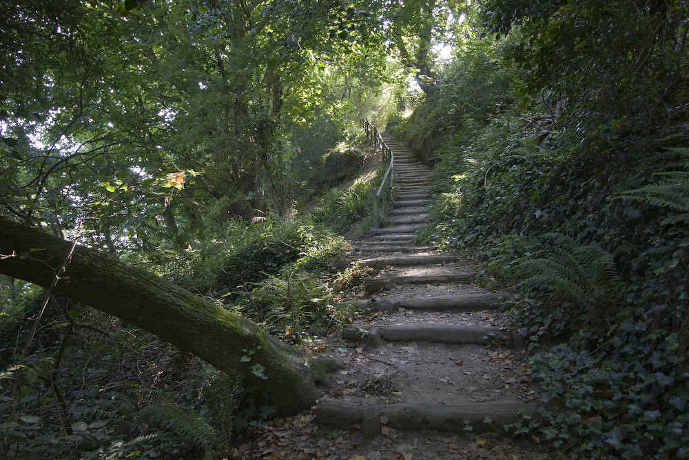Photos Winchelsea to Hastings Walk SWC