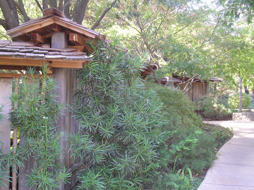 Japanese garden, Woodward Park, Fresno James Fujita Flickr