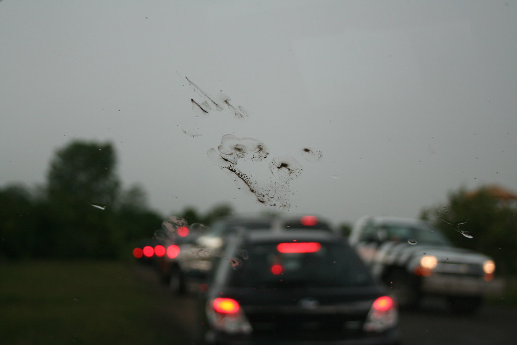Dirty Baboon footprint on my windshield JoBaby1331 Flickr