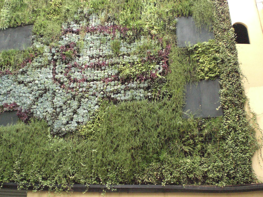 Mexico City Downtown Vertical Garden Here you can see Que… Flickr