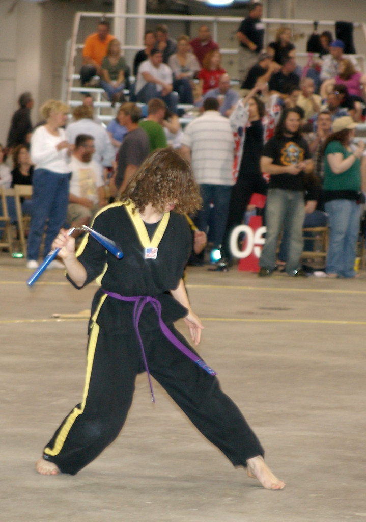 Level 10 Martial Arts Demo Team Level 10 Martial Arts Demo… Flickr