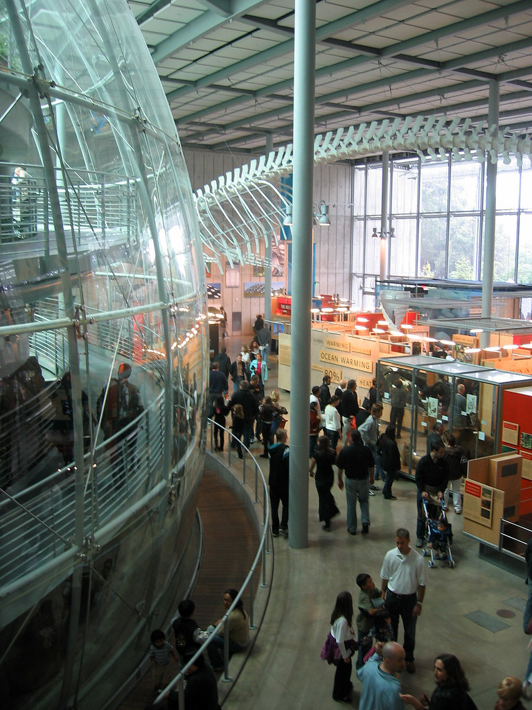 Inside the California Academy of Sciences Mariam Flickr