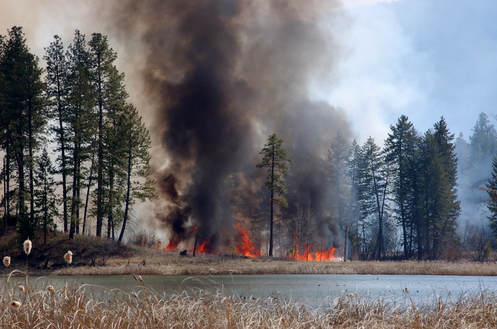 70 Acre Fire on White Mud Lake Fire on the lake working i… Flickr