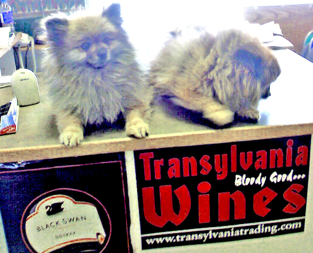 Liquor Store Dogs Dave Smith Flickr