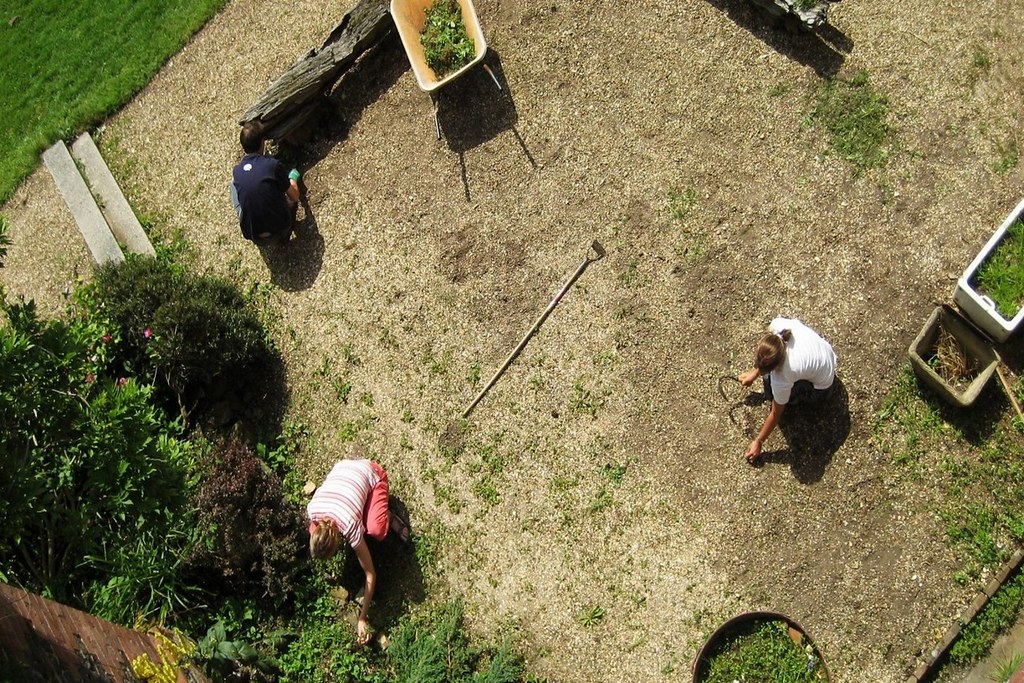 L'AbriUK Chores11 Photogragh taken during the Summer Ter… Flickr