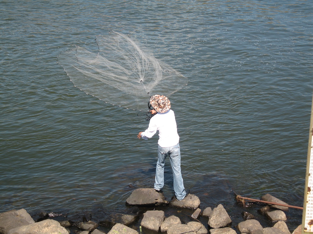 Fishing with a Net Fishing on the Haw River just downstrea… Flickr