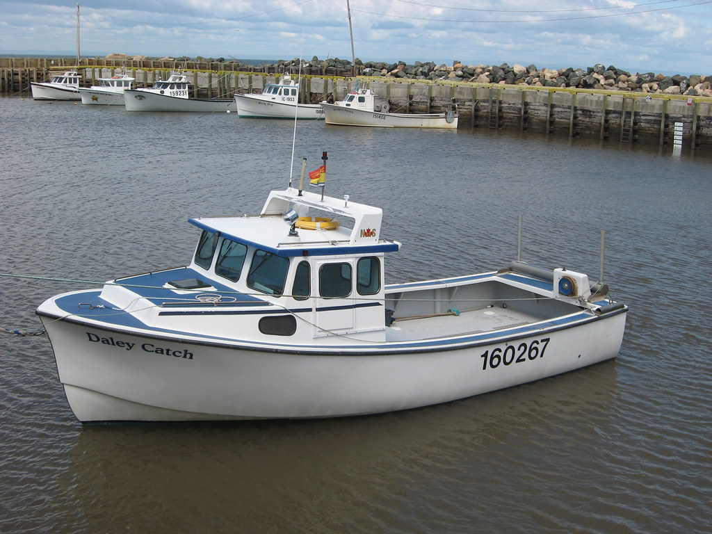 IMG_4832 Janeville NB. August 2008. Derek Blackadder Flickr