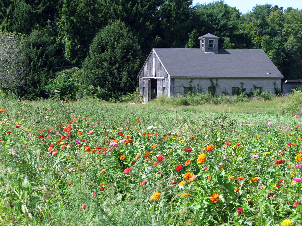 The Barn at Canaan Farm Canaan Farm Wenham, Massachusetts Flickr