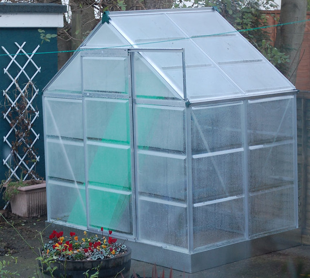 greenhouse A 4'x6' B&Q greenhouse. Eleanor Martin Flickr