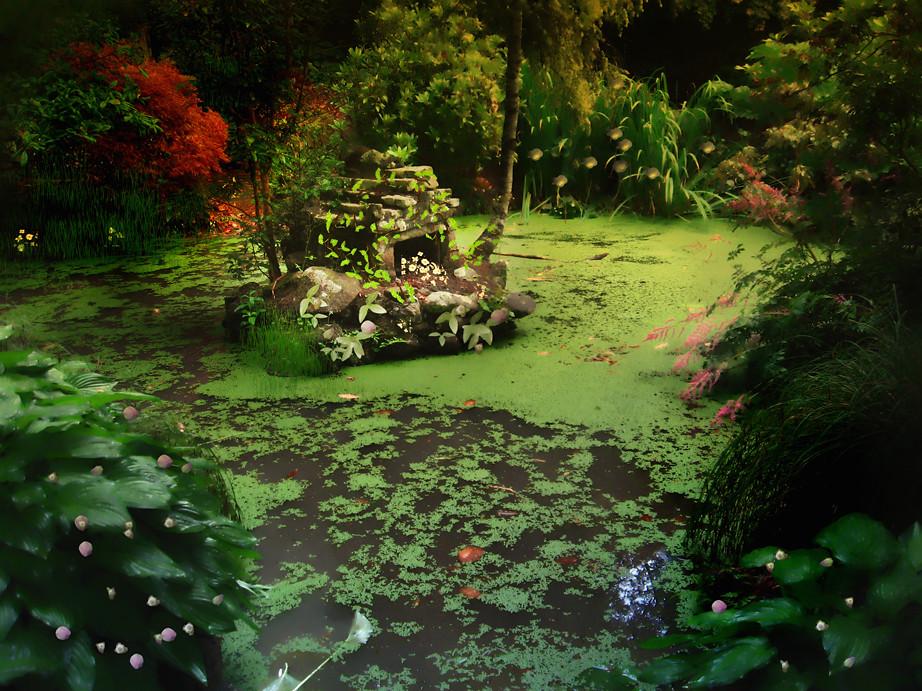 Magic Garden Gardening is the art that uses flowers and pl… Flickr