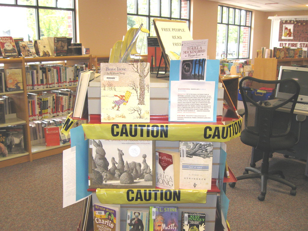 IMG_0012 another library view Ely Public Library Iowa Flickr