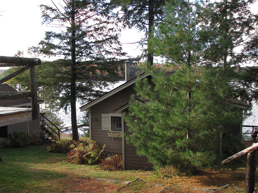 Loon Cabin Long Lake, NY Harry Slaunwhite Flickr