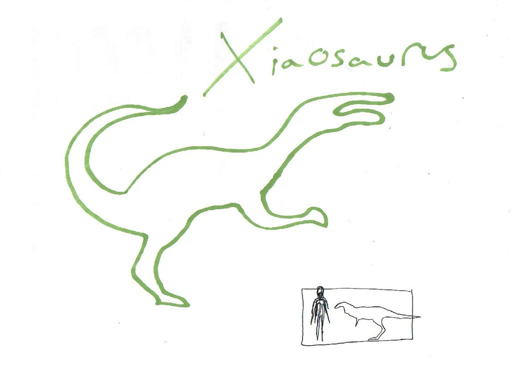 Xiaosaurus Xiaosaurus was an agile herbivore Kurt Best Flickr