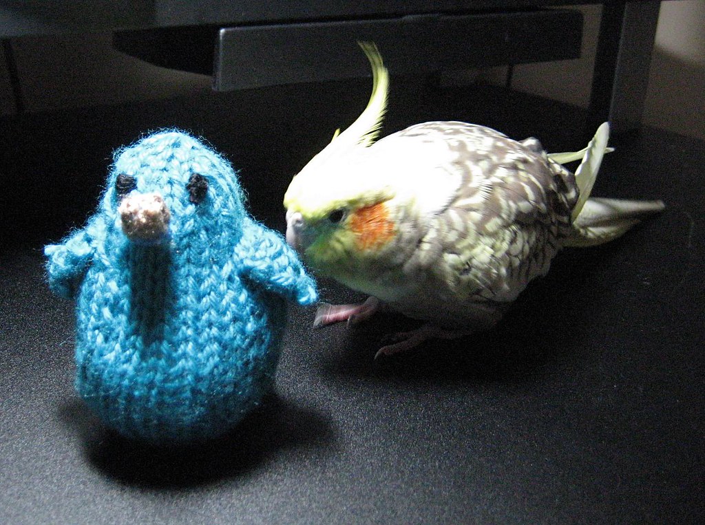 Fake bird, real bird Ashley Davidson Flickr