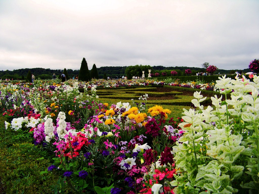 Versailles Flowers Álvaro Millán Flickr