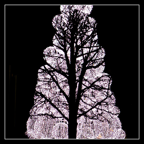 O'Connell Street Christmas Tree, Dublin Its a very pretty … Flickr