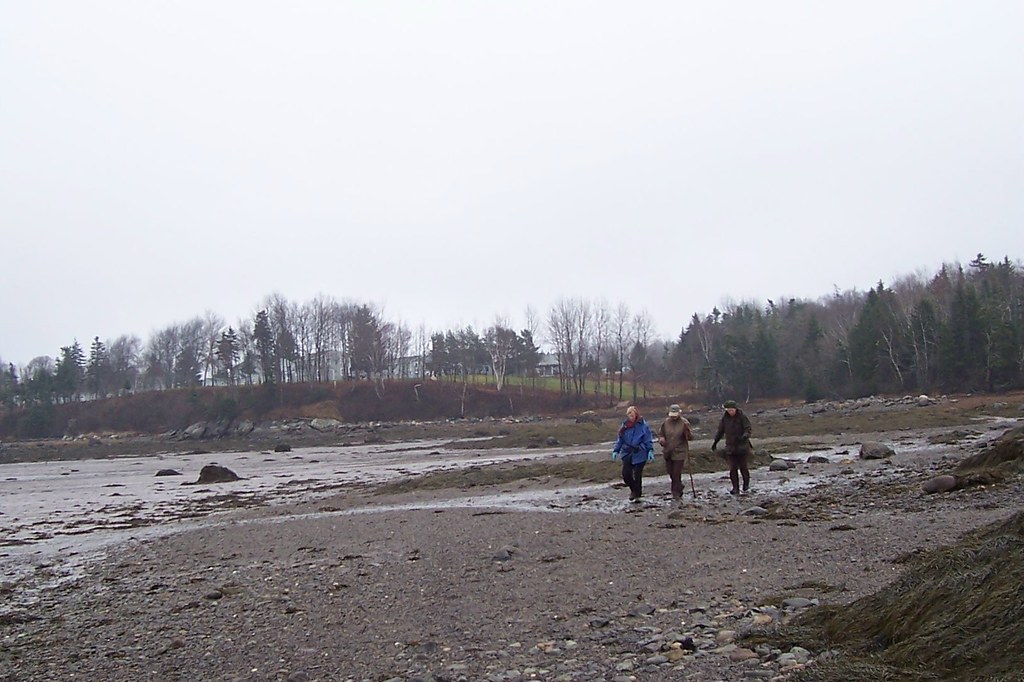 November 9,2008 Cutler Naval Base Walk Dale Calder Flickr