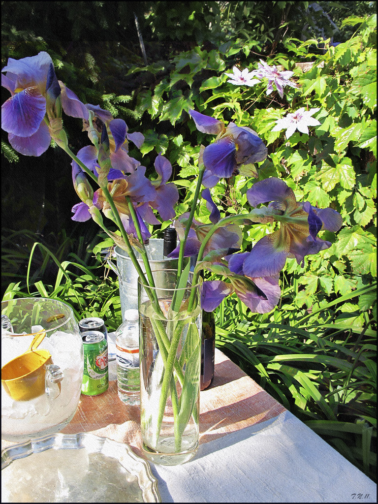 Irises in a Vase Irises in a vase on the garden table. Sti… Flickr