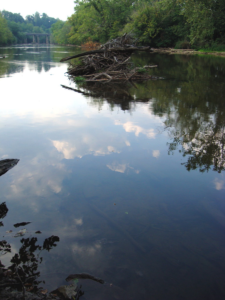 French Broad at Hominy Park before flood zen Sutherland Flickr