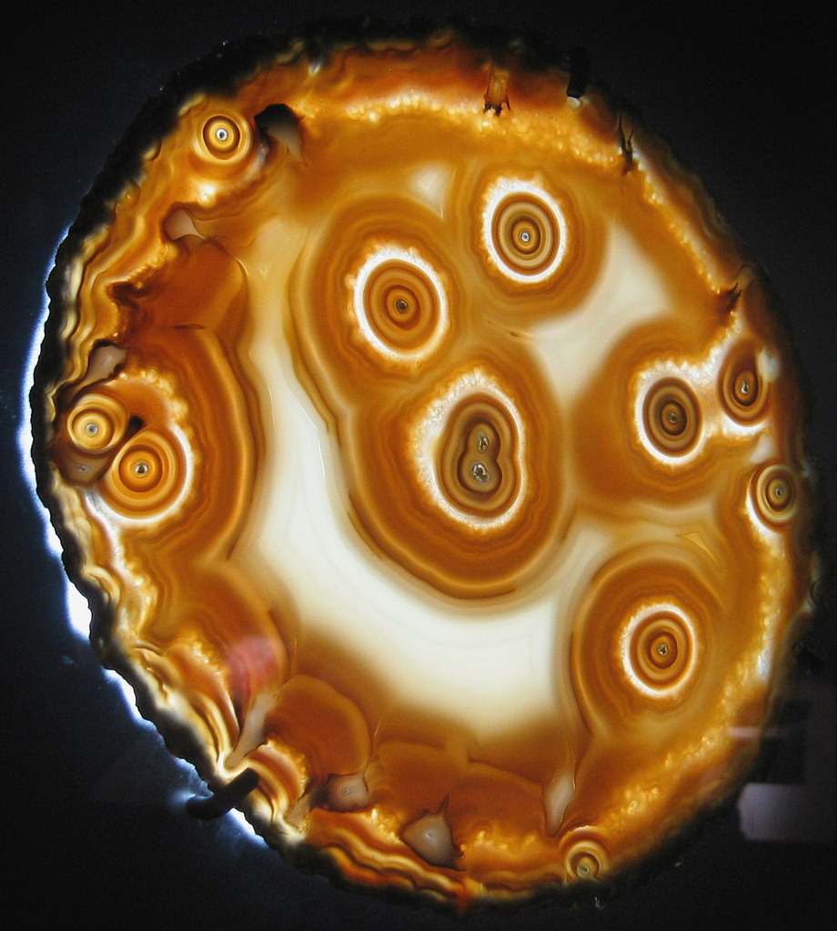 Agate 8 (public display, Carnegie Museum of Natural Histor… Flickr