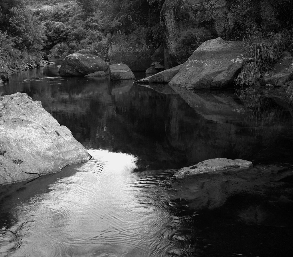 The Wairoa River, Tauranga, NZ Rollieflex TLR, 75mm Xenar … Flickr