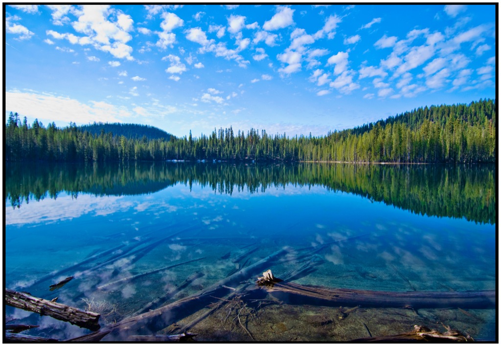 Big Sky On the Lake Fallen trees fringe the shoreline