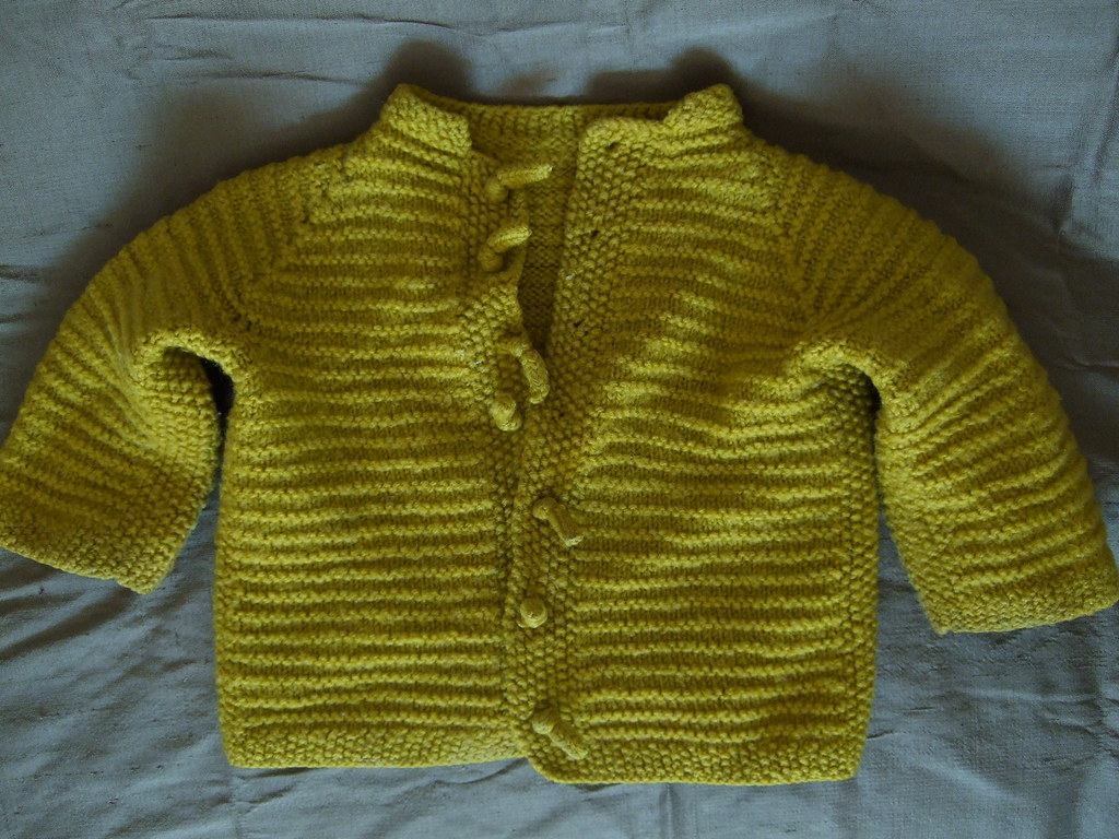 DSCF2801 Coriander Reisbord Flickr