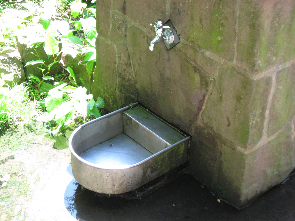 Pet Fountain Lock 12 Even Rover can get fresh water alon… Flickr