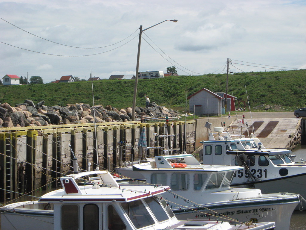 IMG_4823 Janeville NB. August 2008. Derek Blackadder Flickr