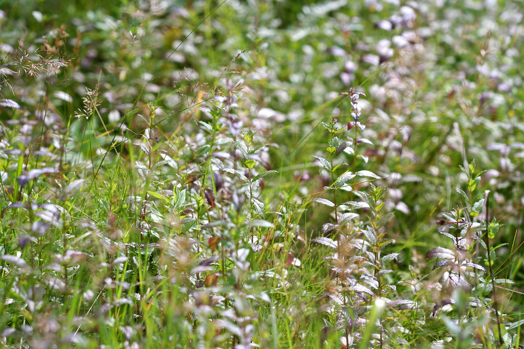 3198 S Hunter Villa Ln, West Valley City, UT 84128 Redfin